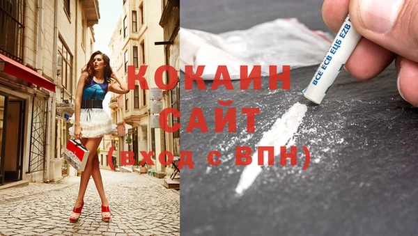 амф Володарск