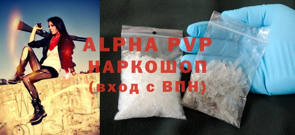 стаф Волоколамск