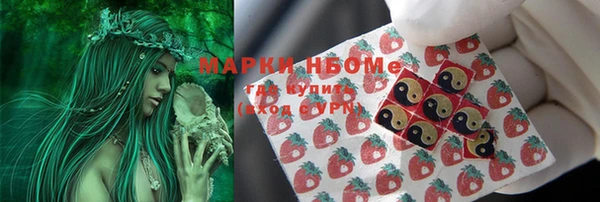 амф Володарск
