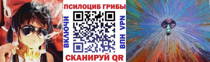 MEGA ссылка  купить наркотик  Пудож  Псилоцибиновые грибы GOLDEN TEACHER 